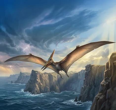 Pteranodon
